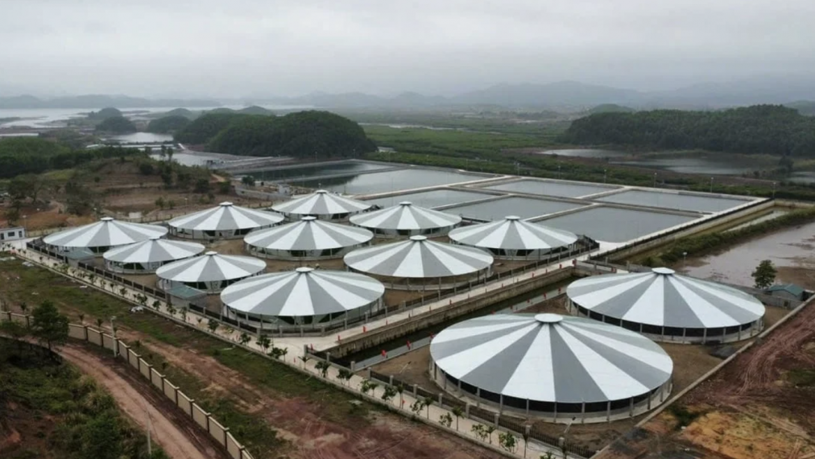 Quang Ninh centra sus esfuerzos en resolver los cuellos de botella en la acuicultura para facilitar las exportaciones